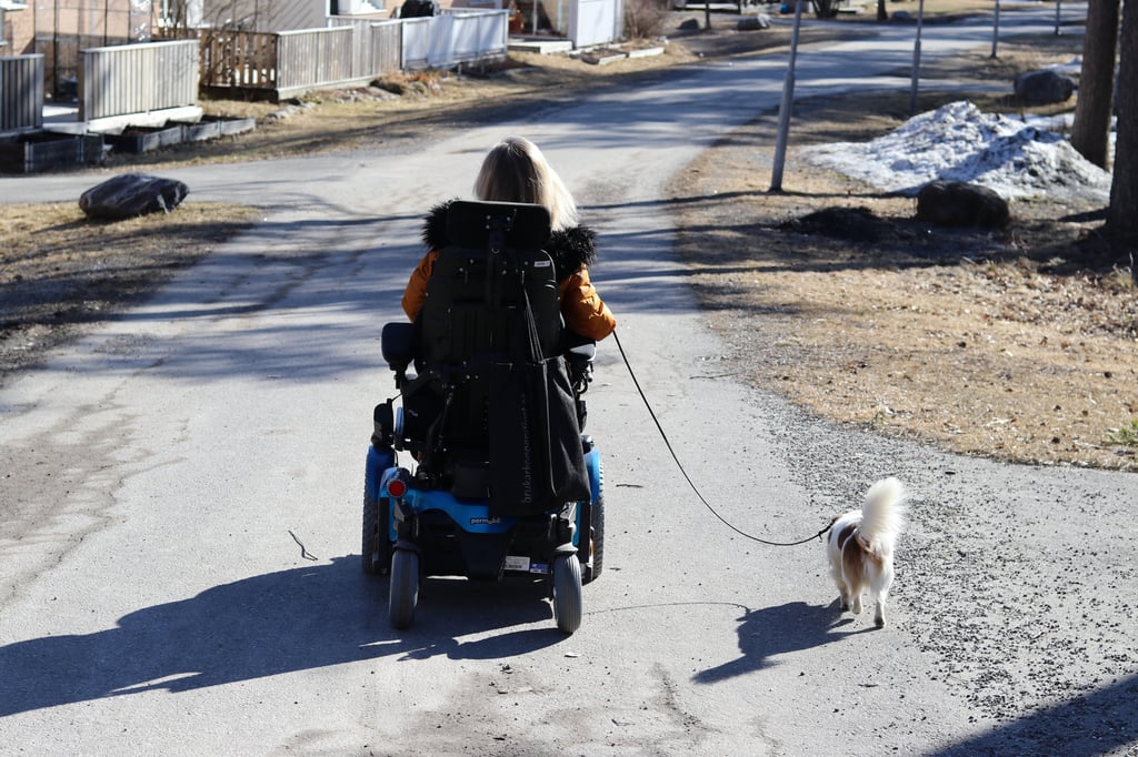 Assistansanvändare på promenad med hund