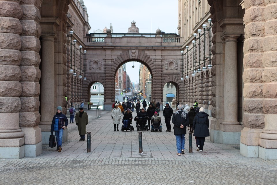 Några av IfAs medlemmar i rad utanför riksdagens entre